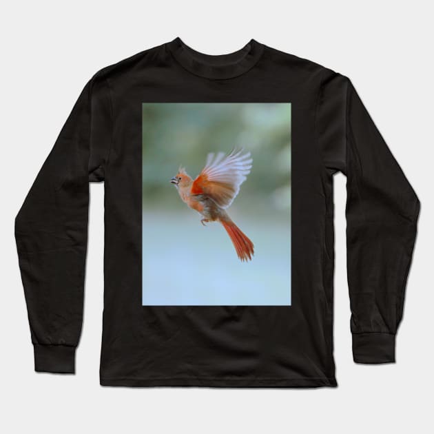 Cardinal in flight Long Sleeve T-Shirt by LaurieMinor